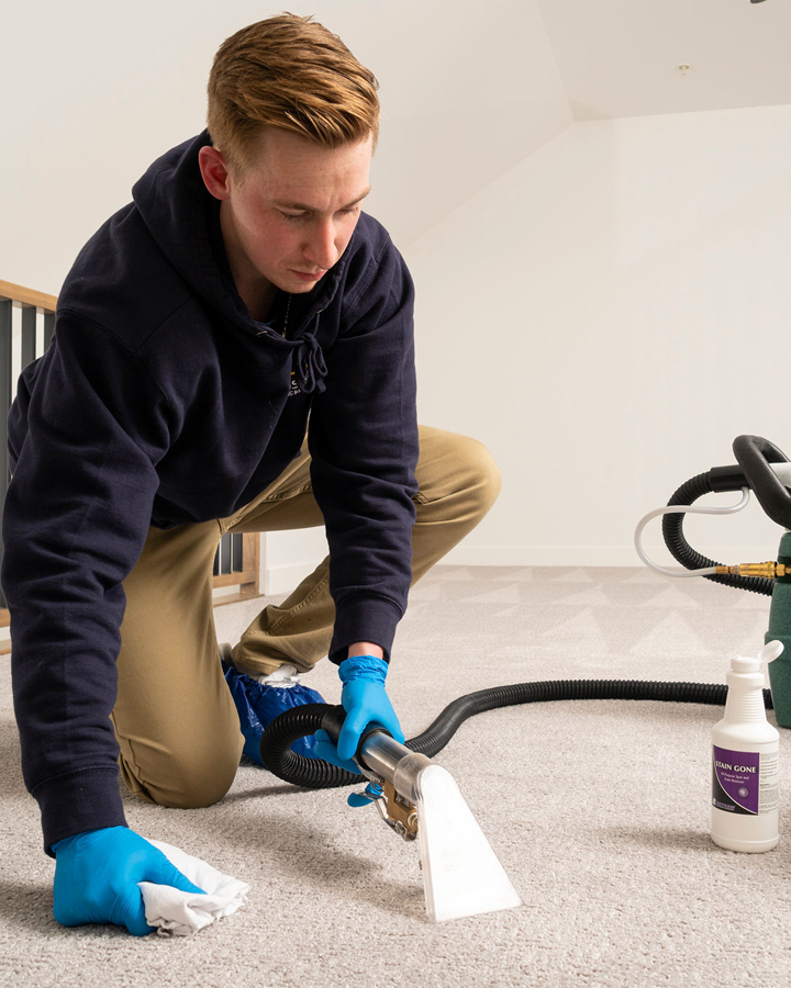 Equipment for carpet cleaning