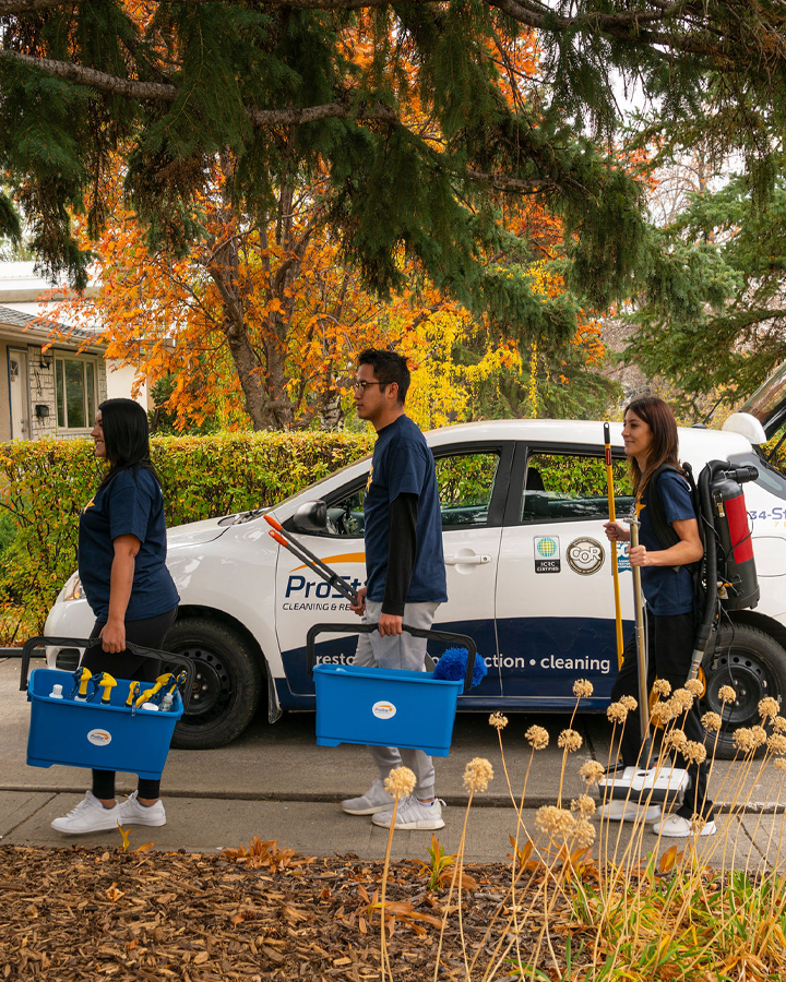 Team of cleaners with equipment