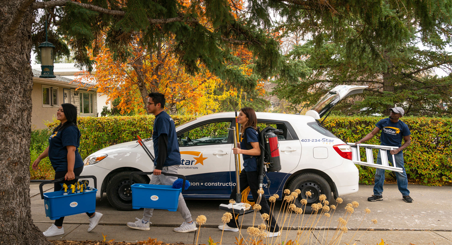 Team of cleaners with equipment