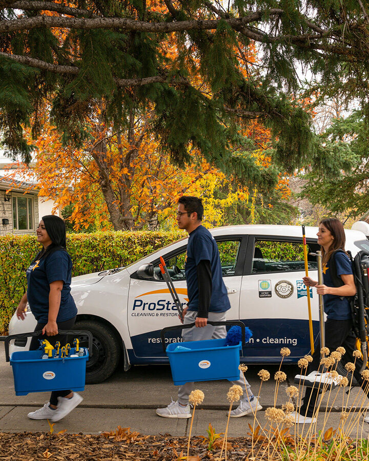 Team of cleaners with equipment